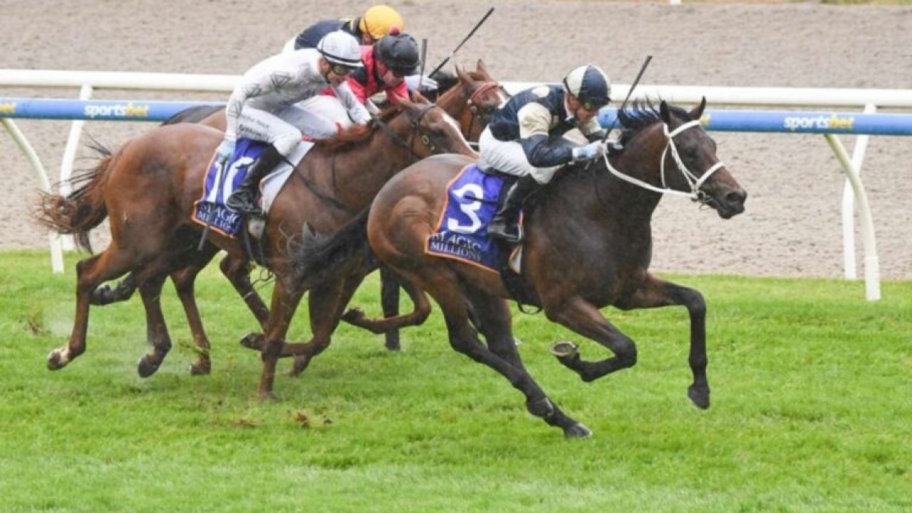 Sunsource triumphs in Ballarat's $250,000 Magic Millions ... Image 1